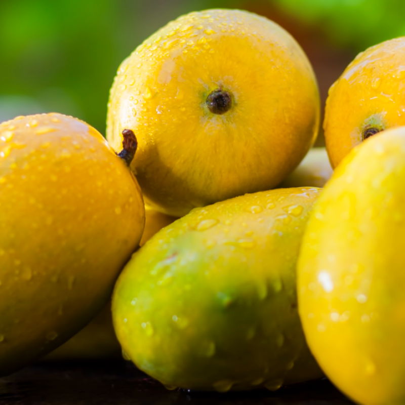 Unveiling the Exquisite Delight: The Legend of Banganapalli Mangoes