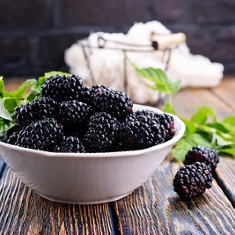 The Ultimate Guide to Blackberry Dried Berries: Health Benefits, Recipes, and More