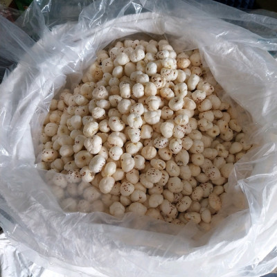 FOX NUTS 6 SUTTA(MAKHANA)