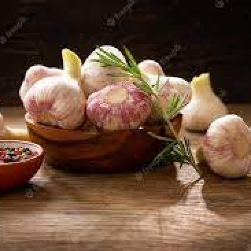 GARLIC BULBS