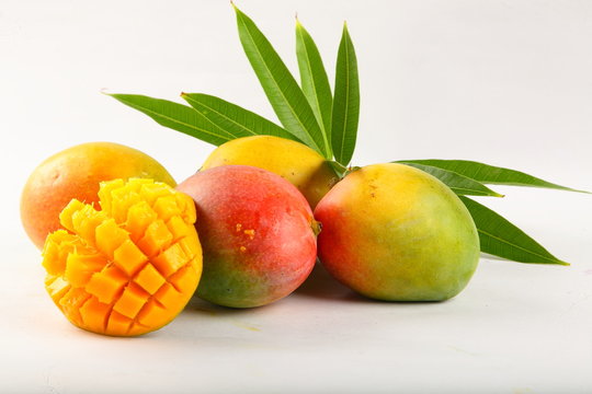 Mangos Alphonso: Unveiling the Majestic Reign of the King of Mangoes