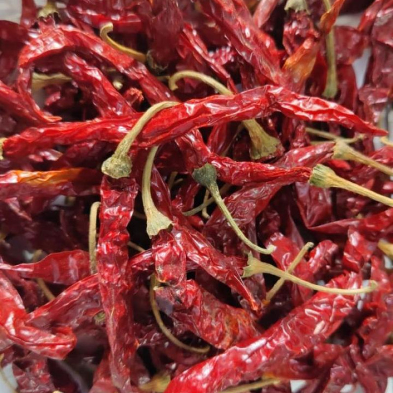 DRY RED CHILLI