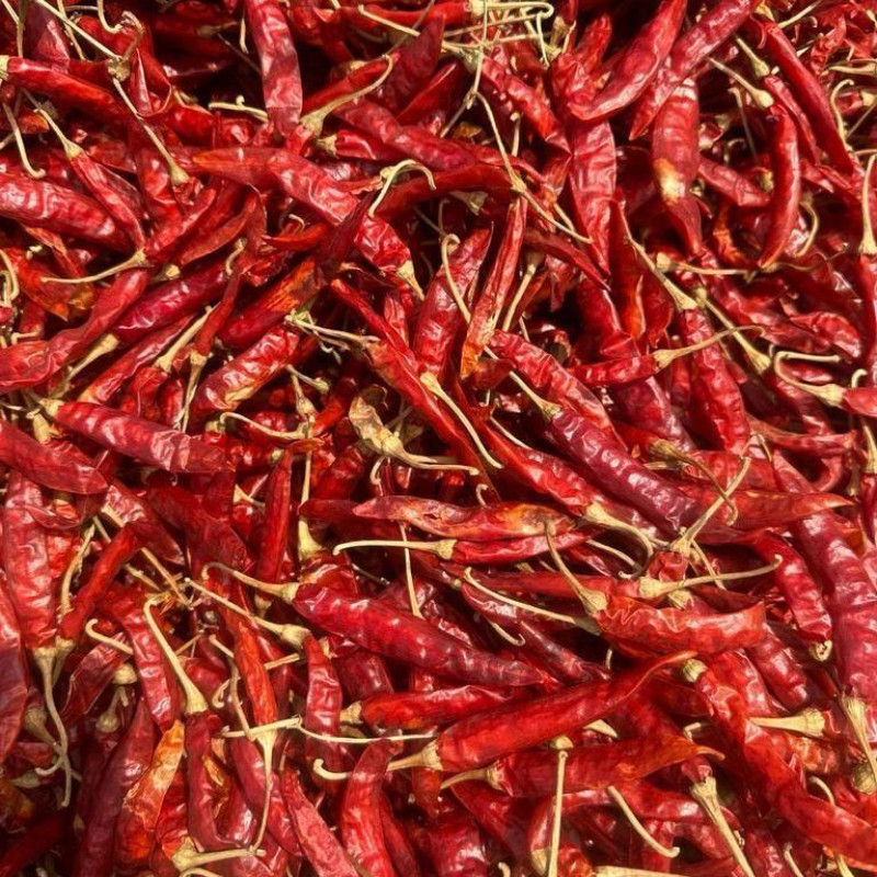 DRY RED CHILLI