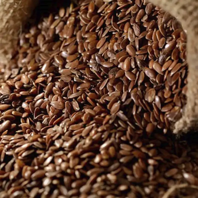FLAX SEEDS