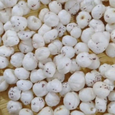 FOX NUTS 5 SUTTA (MAKHANA)